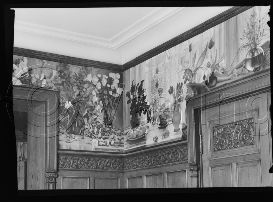 Glassplate og negativ film