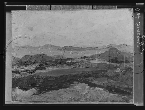 Glassplate og negativ film