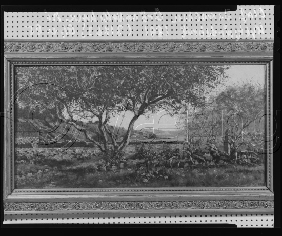 Glassplate og negativ film