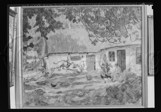 Glassplate og negativ film