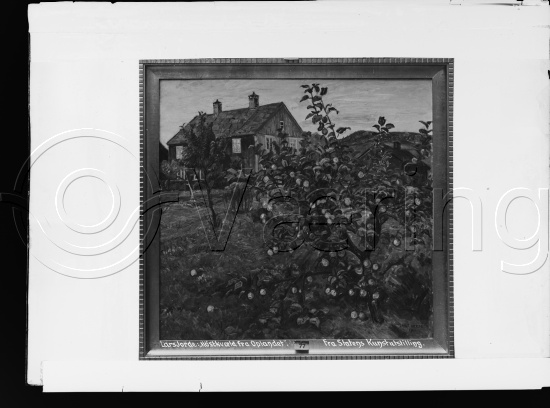Glassplate og negativ film