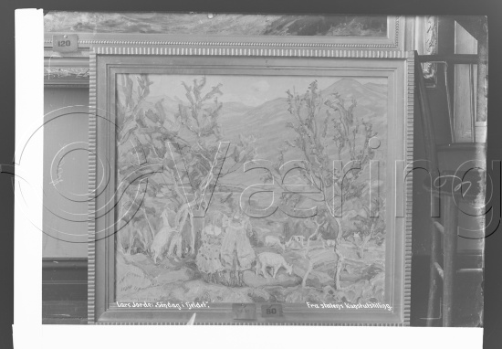 Glassplate og negativ film