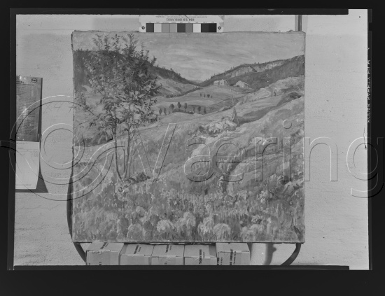 Glassplate og negativ film