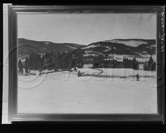 Glassplate og negativ film