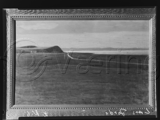 Glassplate og negativ film