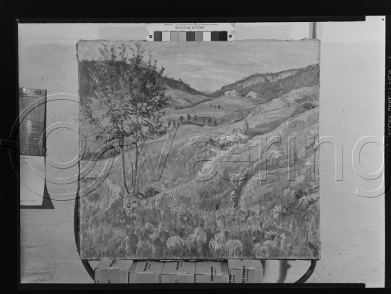Glassplate og negativ film