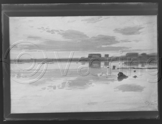 Glassplate og negativ film