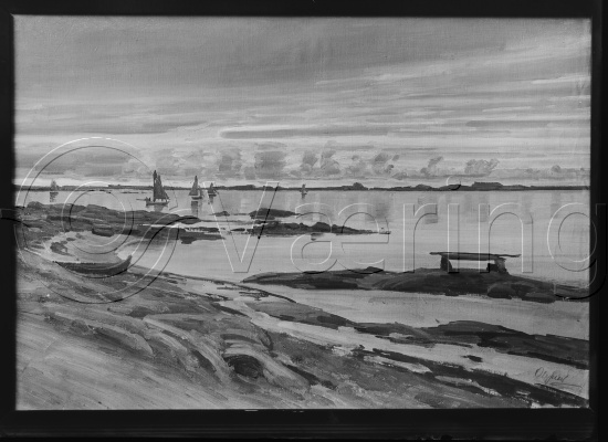 Glassplate og negativ film