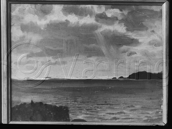 Glassplate og negativ film