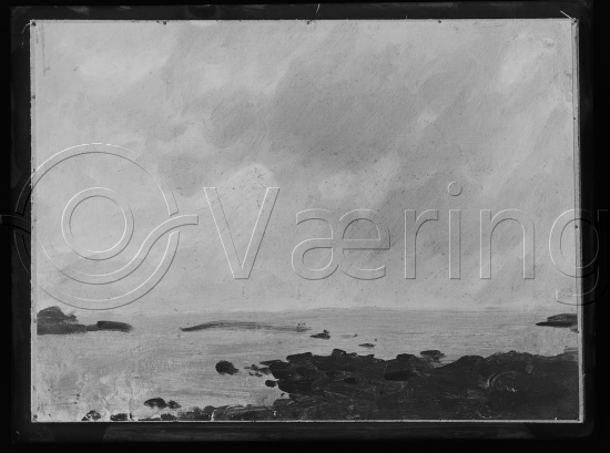 Glassplate og negativ film