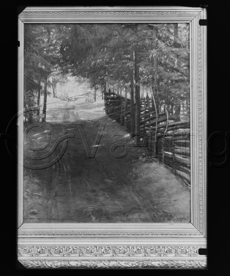 Glassplate og negativ film