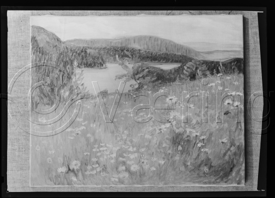 Glassplate og negativ film