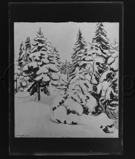 Glassplate og negativ film