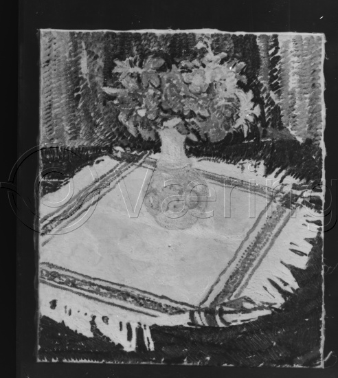 Glassplate og negativ film