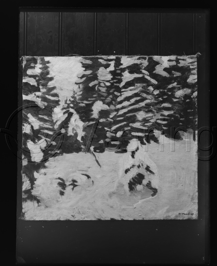 Glassplate og negativ film