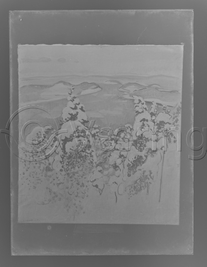 Glassplate og negativ film