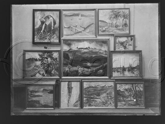 Glassplate og negativ film