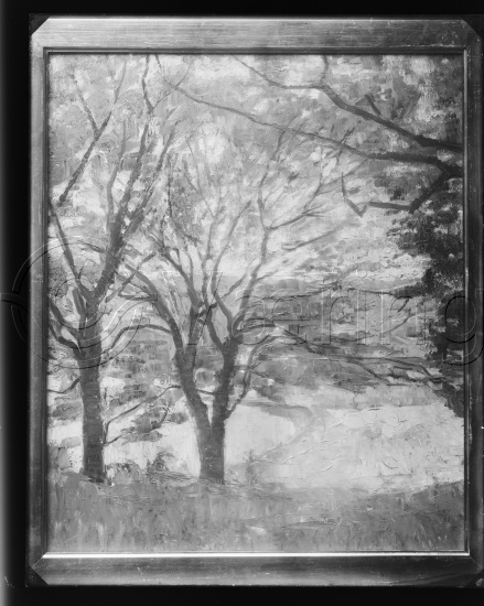 Glassplate og negativ film