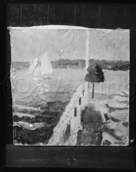 Glassplate og negativ film