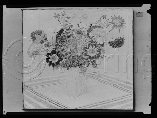 Glassplate og negativ film
