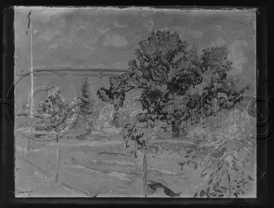 Glassplate og negativ film