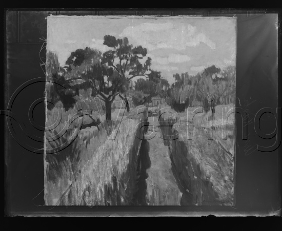 Glassplate og negativ film