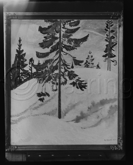 Glassplate og negativ film