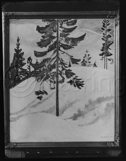 Glassplate og negativ film