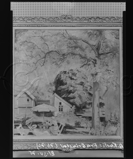 Glassplate og negativ film