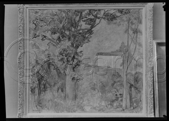 Glassplate og negativ film