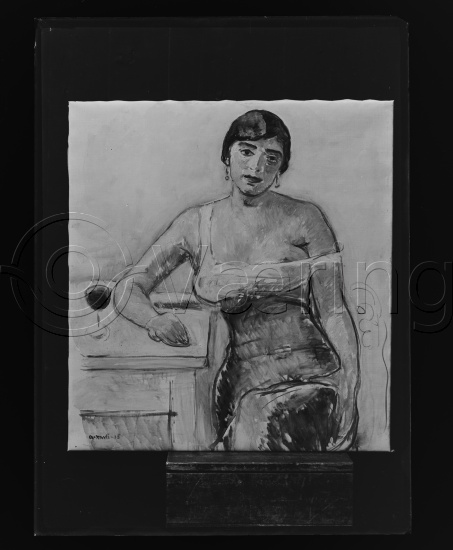 Glassplate og negativ film