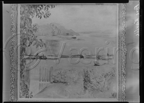 Glassplate og negativ film