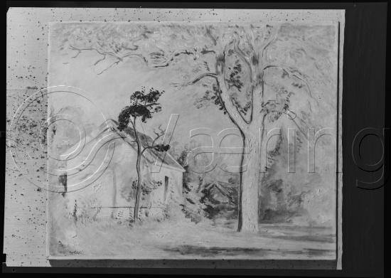 Glassplate og negativ film