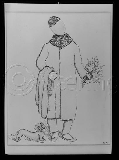 Glassplate og negativ film