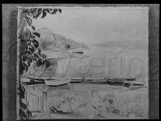 Glassplate og negativ film