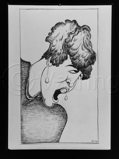 Glassplate og negativ film