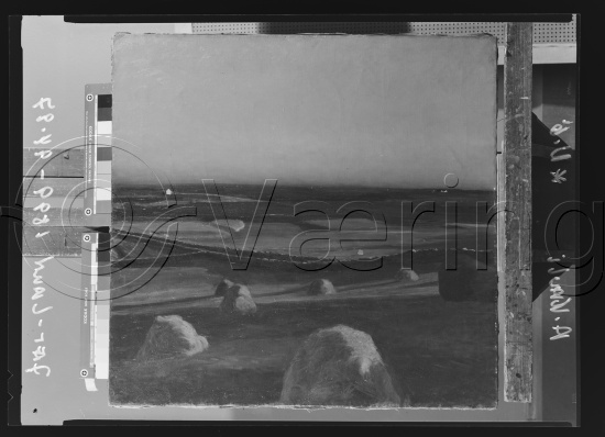 Glassplate og negativ film