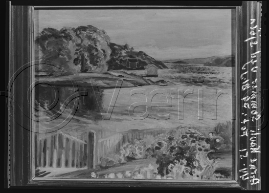 Glassplate og negativ film