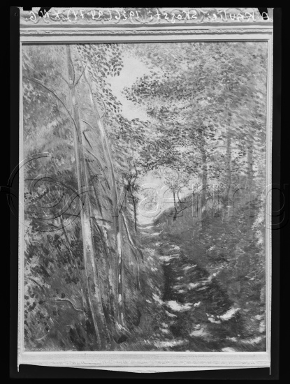 Glassplate og negativ film