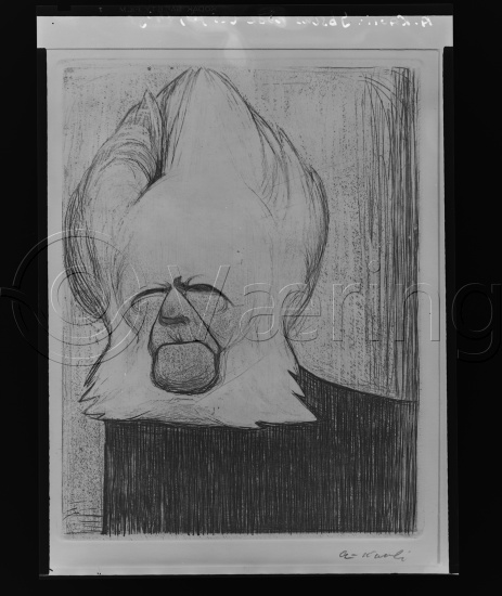 Glassplate og negativ film