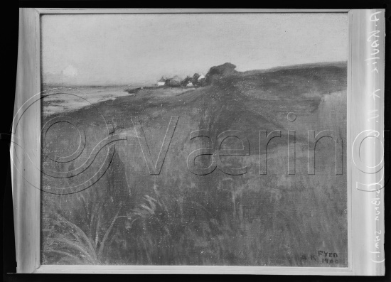 Glassplate og negativ film