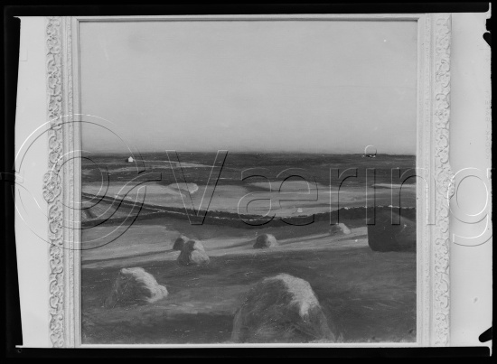 Glassplate og negativ film