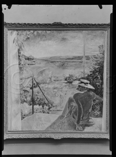 Glassplate og negativ film