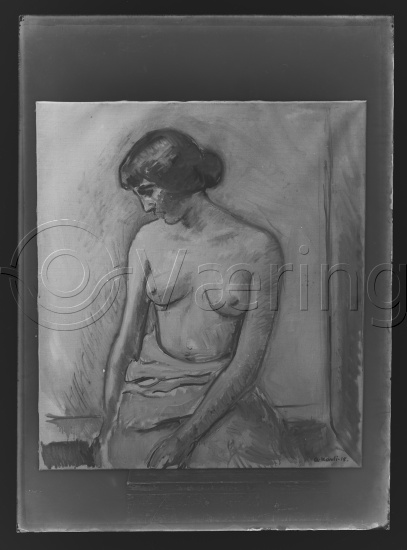 Glassplate og negativ film