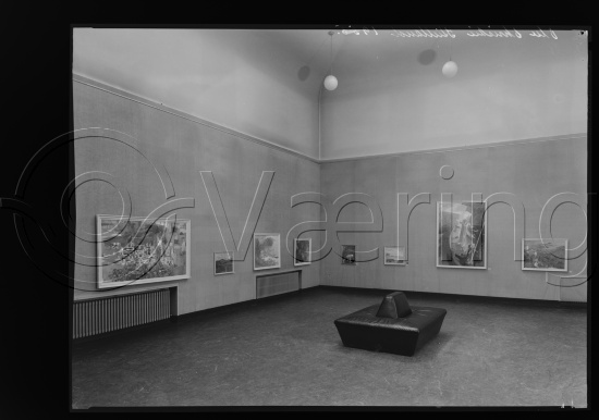 Glassplater og negativ film