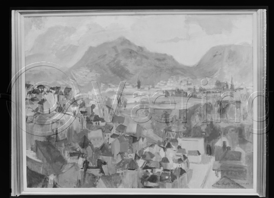 Glassplater og negativ film