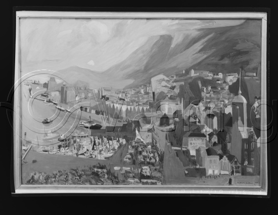 Glassplater og negativ film