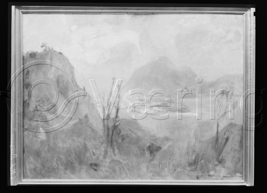 Glassplater og negativ film