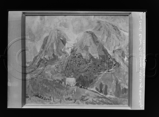 Glassplater og negativ film