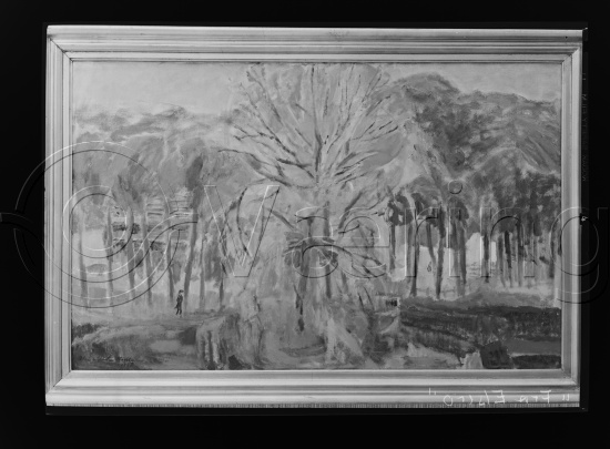 Glassplater og negativ film